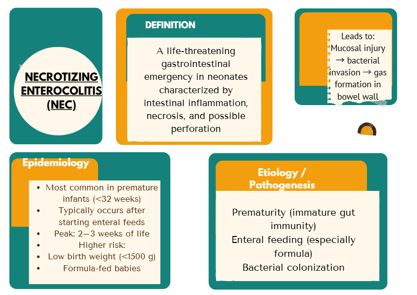 Necrotizing Enterocolitis (NEC) – Neonatology Notes | Pathophysiology, Diagnosis, and Management Sum