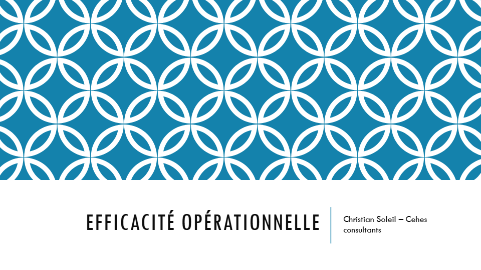 Efficacité opérationnelle (Analyse de la valeur)