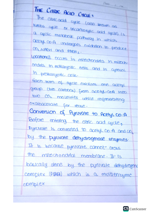 The Citric Acid Cycle
